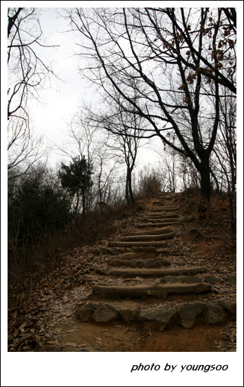 오랜만의 산행인 때문인지 동네 뒷산임에도 꽤 숨가뻤답니다. 